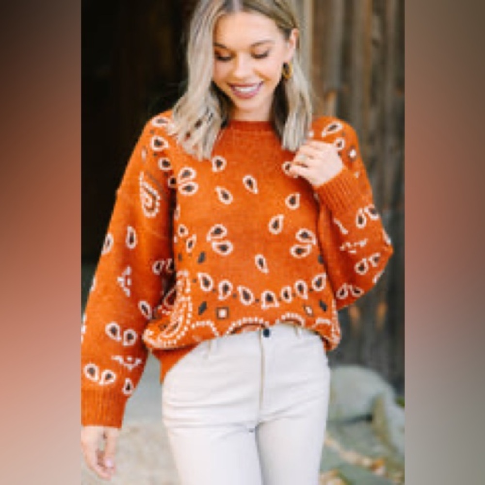 Seen and Be Seen Just My Speed Rust Orange Paisely Sweater